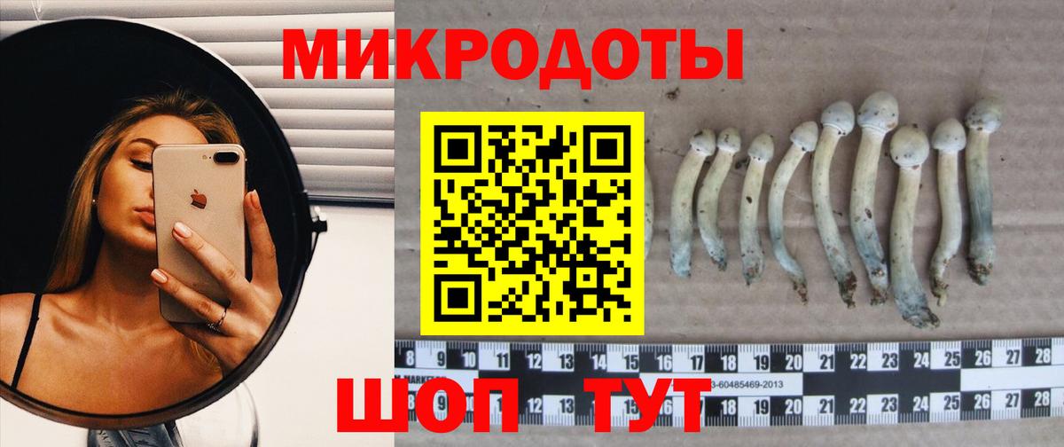 Кизилюрт  Галлюциногенные грибы Magic Shrooms  Вход с VPN  Псилоцибиновые грибы ЛСД 