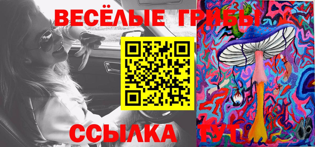 Псилоцибиновые грибы мухоморы Кизилюрт